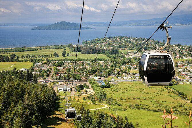 Private Tour Ziplining Forest Adventure from Rotorua - What’s Included and What to Consider