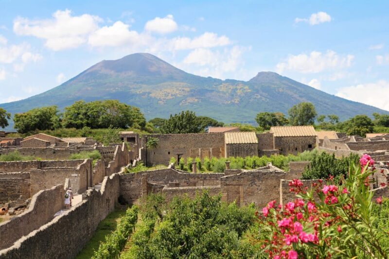 Private Tour_From Naples Port:Pompeii+Vesuvius tour - The Sum Up: A Solid Choice for Curious Explorers