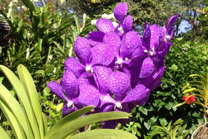 Private Tours - What to Expect at Bathsheba Beach and Harrison’s Cave