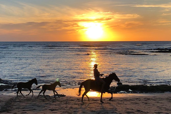 Private Tours and Transfer Costa Rica - Transportation Options Available