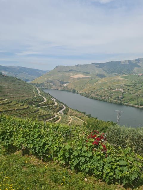 Private tours and transport amazing for you at DOURO Valley - FAQ