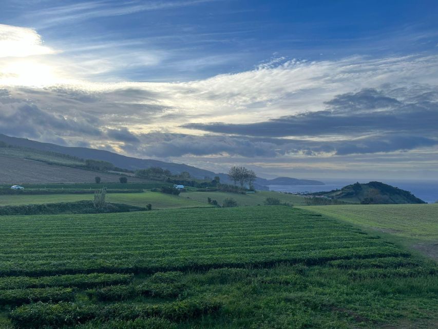 Private Tours Best Spots (Views) on São Miguel Island - Scenic Coastal Drives