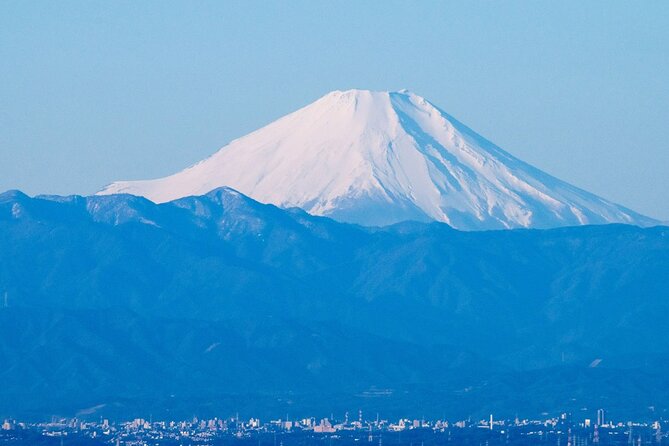 Private Transfer Arrival Narita Airport NRT to Tokyo City - Ensuring a Smooth Transfer