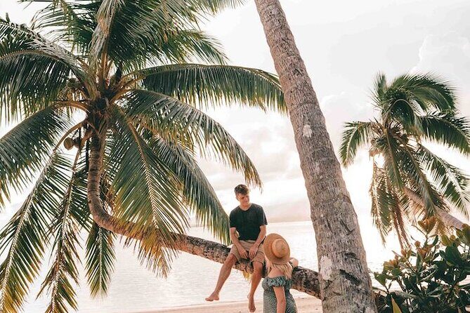 PRIVATE TRANSFER Cairns Airport  Port Douglas Minibus (6am-5pm) - Whats Included and Whats Not