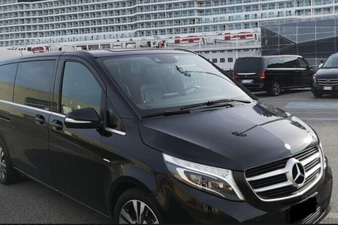 Private Transfer Civitavecchia Cruise Port to Fiumicino Airport - Who Is This Service Best For?