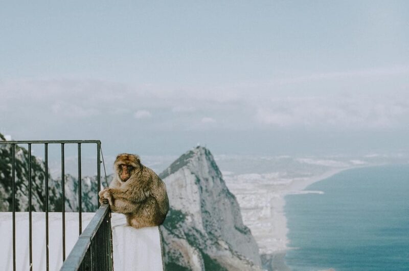 Private Transfer: Faro/Lagos to Tarifa/Gibraltar - Pricing and Cancellation