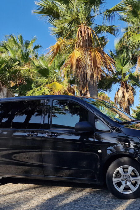 Private Transfer: Faro/Lagos to Tarifa/Gibraltar - Luggage and Child Seats