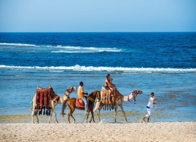 Private Transfer Fez to Rabat via Volubilis or ViceVersa - Positive Customer Experiences