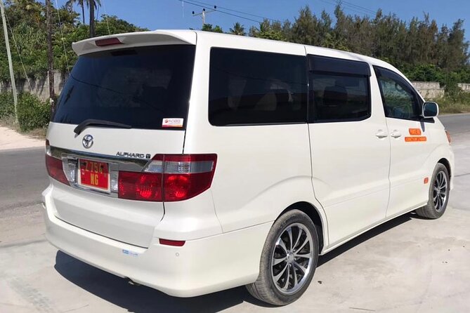 Private Transfer From Abeid Amani Karume Airport to Zanzibar - Accessibility Features