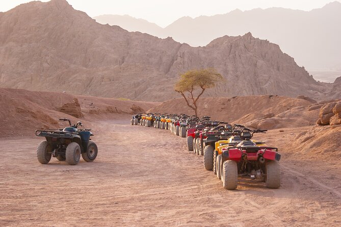 Private Transfer From Aswan to Marsa Alam or Vice Versa - Booking and Confirmation