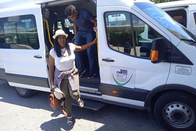 Private Transfer from ATO Cancun to Playa Mujeres - Who Will Benefit Most?