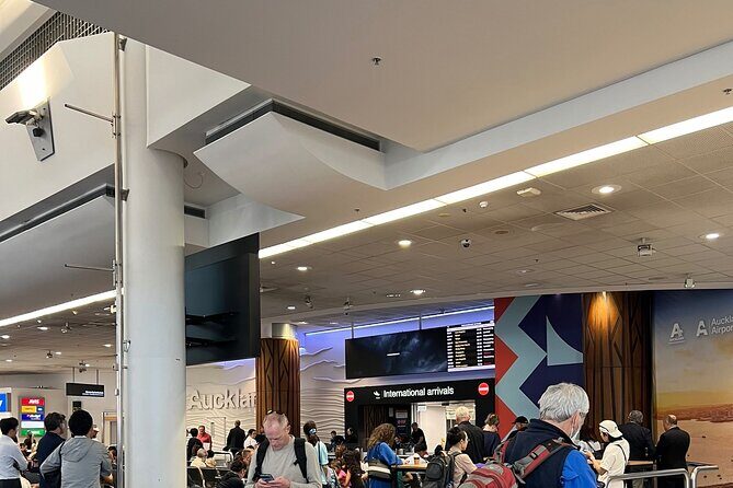 Private Transfer From Auckland Airport To Matakana - The Sum Up