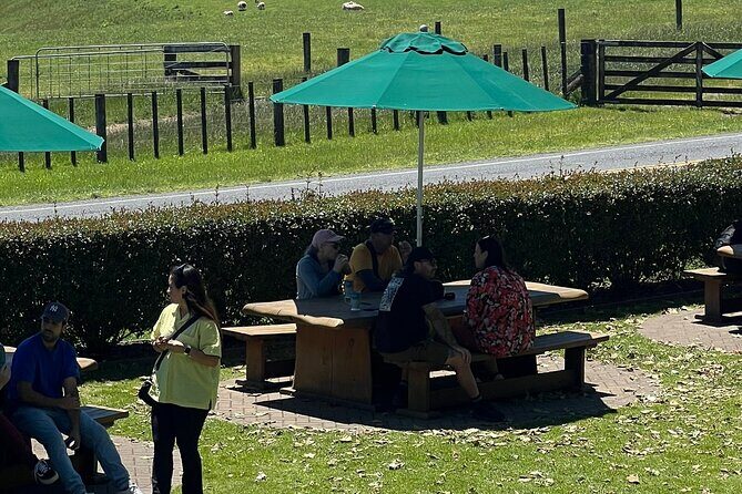 Private Transfer From Auckland Airport To Matamata - Final Thoughts: Who is It Best For?