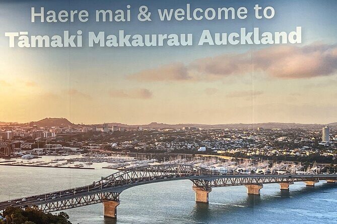 Private Transfer From Auckland Airport To Omaha And Snells Beach - Detailed Breakdown of the Experience