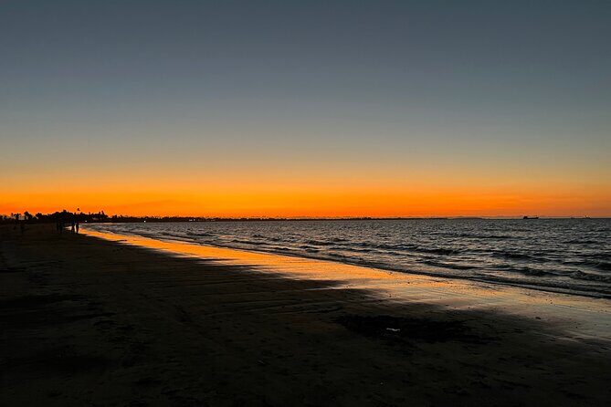 Private Transfer From Auckland CBD Hotels To Cruise Ship - The Sum Up