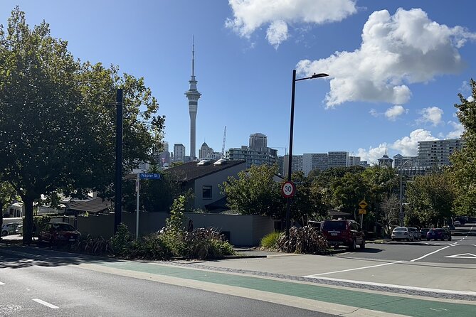 Private Transfer From Auckland City To Auckland Airport - Benefits of Private Transfers