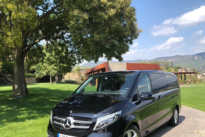 Private Transfer From Barcelona City to the Port (Or Vice Versa) - Pickup and Drop-off