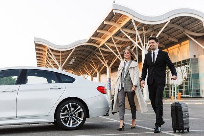 Private Transfer From Cairo Airport to Cairo or Giza - Pickup Information