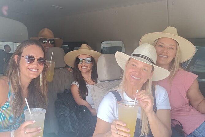 Private Transfer from Cancun Airport to Cancun Hotel Zone - Who Should Consider This Service?