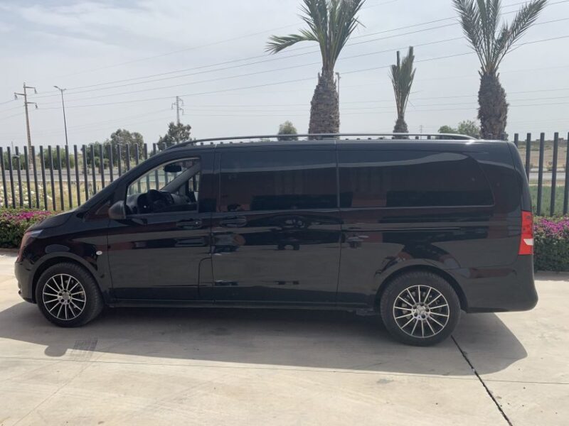 t1917141