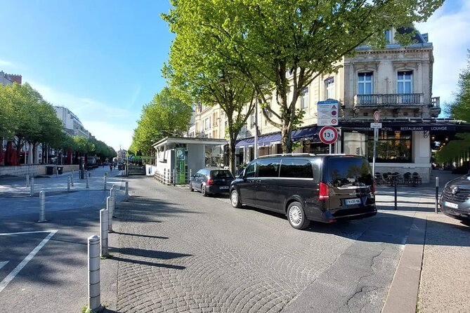 Private Transfer From CDG or ORY Airport to Disneyland Paris - Inclusions and Amenities
