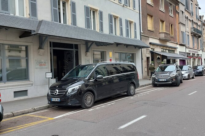 Private Transfer From CDG or ORY Airport to Disneyland Paris - Accessibility and Special Accommodations