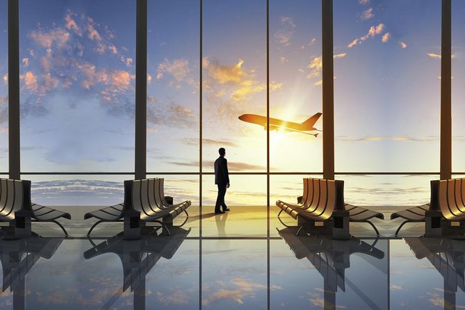 Private Transfer From Charles De Gaulle Airport to Paris: Premium Service - Pickup and Drop-off