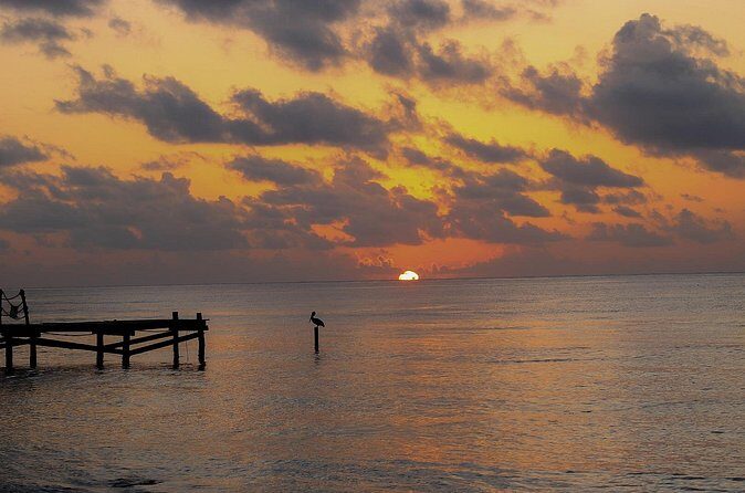 Private Transfer From Chiquila to Playa del Carmen, English Speaking Driver - Vehicles and Comfort