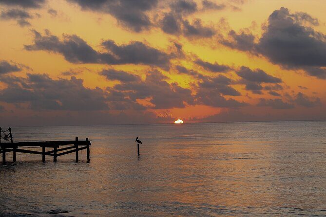 Private Transfer From Chiquila to Playa del Carmen, English Speaking Driver - Pricing and Value