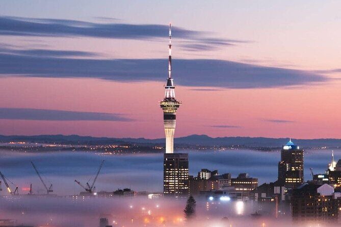 Private Transfer From Cruise Ship To Auckland CBD Hotels - A Closer Look at the Experience