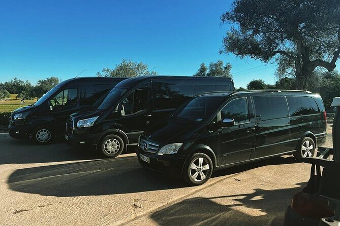 Private Transfer from Faro Airport to Pine Cliffs Hotel (4-8 pax) - Practicalities and Considerations