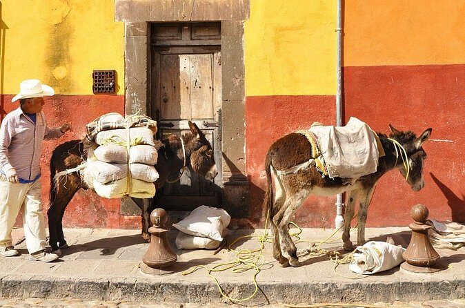 Private Transfer from Guanajuato City to San Miguel de Allende - What Sets This Service Apart