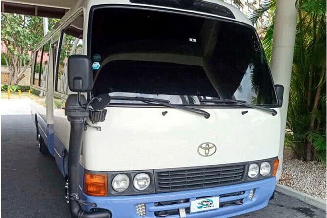 Private Transfer from Hotels to Punta Cana Airport - The Experience in Practice: Authentic Feedback