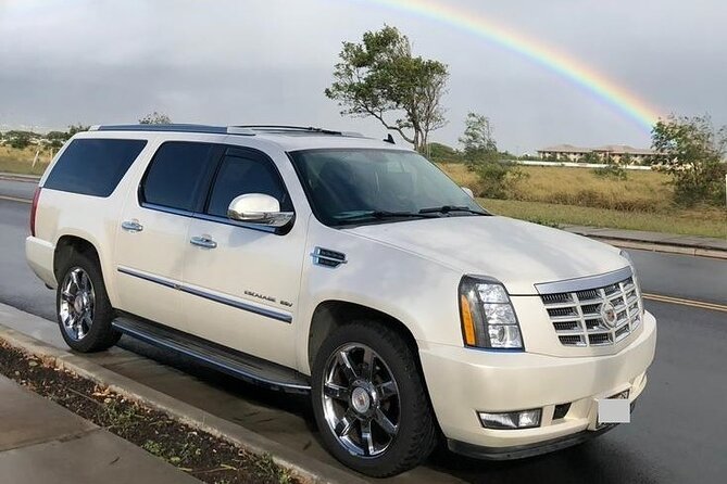 Private Transfer From Kingston Airport (Kin) to Falmouth Port - Accessibility Features