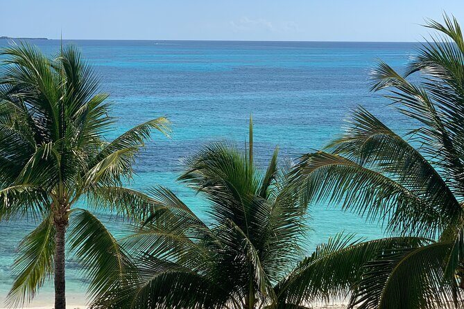 Private Transfer from La Paz to Cabo San Lucas - Who Is This Service Best For?