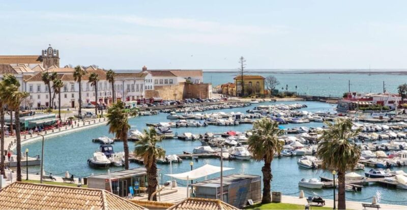 Private Transfer From Lagos to Seville - Service Features