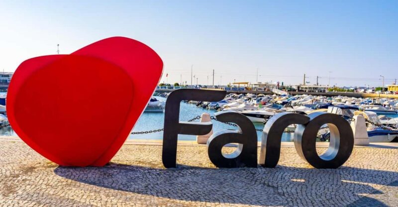 Private Transfer From Lagos to Seville - Vehicle and Comfort
