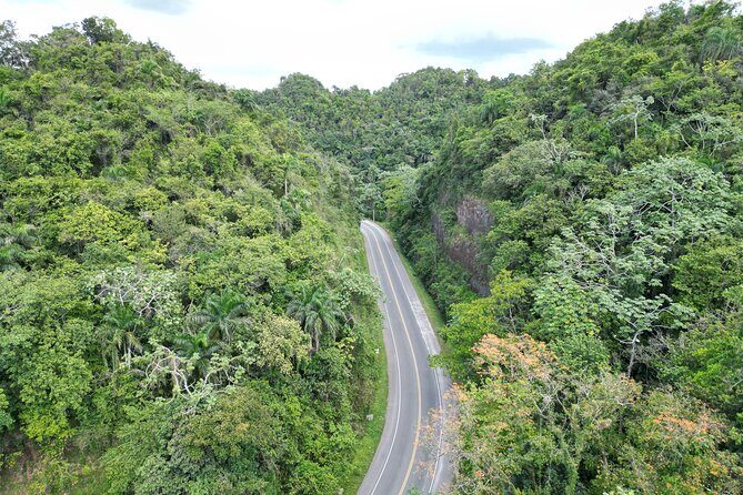 Private transfer From Las Americas Airport (SDQ) To Samana - What Past Travelers Say