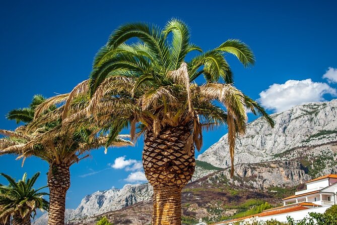 Private Transfer From Makarska to Dubrovnik With 2h Sightseeing, Local Driver - Highlights of the Experience