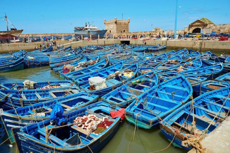 Private Transfer From Marrakech To Essaouira - Driver Qualifications