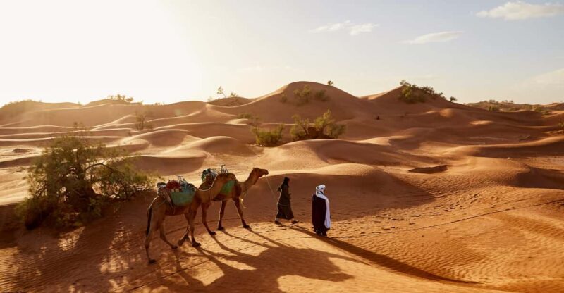 Private Transfer From Marrakech to the Agafay Desert - Vehicle and Driver Specifications