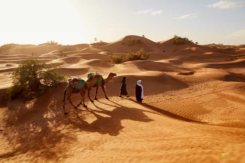 Private Transfer From Marrakech to the Agafay Desert - What to Expect in the Agafay Desert