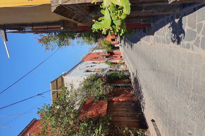 Private Transfer from Mexico City to San Miguel de Allende - Who Would Benefit Most?