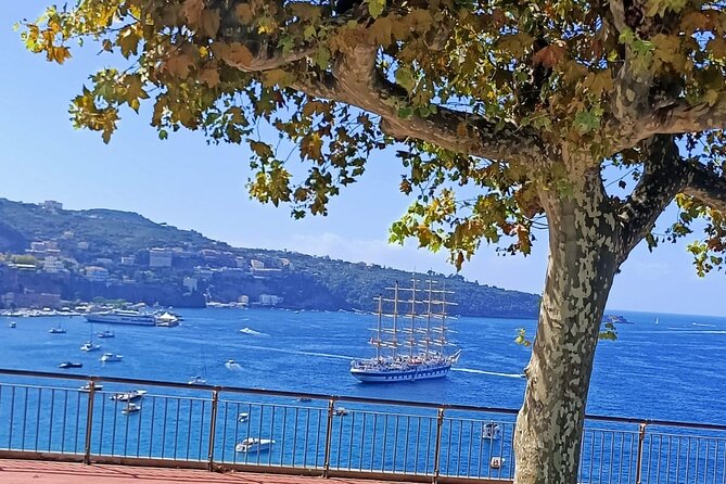 Private Transfer From Naples to Sorrento - Booking Process