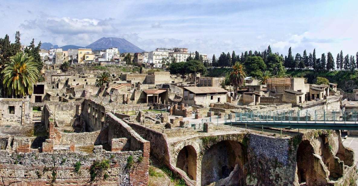 Private Transfer From Naples to Sorrento Stop Herculaneum - Pickup and Dropoff