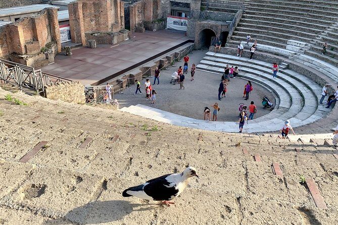 Private transfer from Naples to Sorrento with stop in Pompeii - Cost and Value