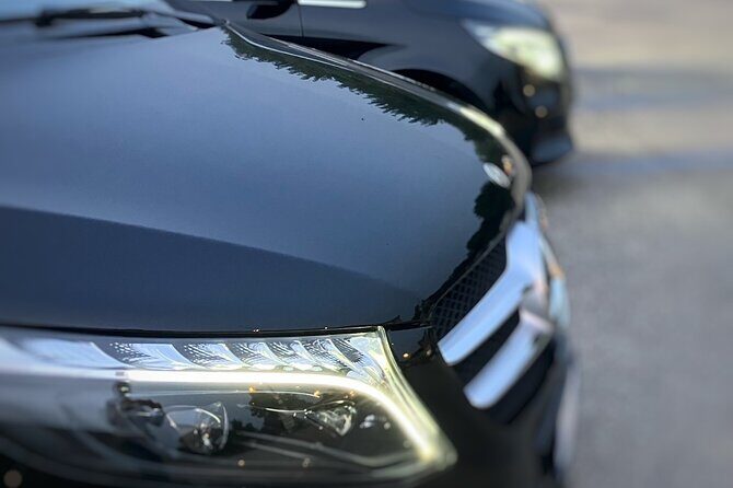 Private transfer from Napoli to Sorrento with stopover in Pompeii ruins - Key Points