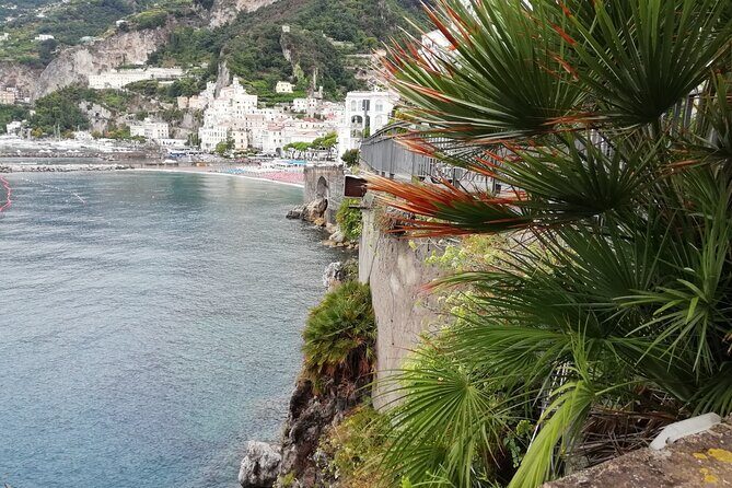 Private transfer from Napoli to Sorrento with stopover in Pompeii ruins - Final Thoughts