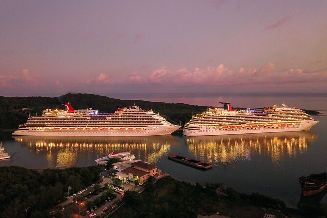 Private Transfer From Narita Airport NRT to Yokohama Cruise Port - Accessibility and Participation
