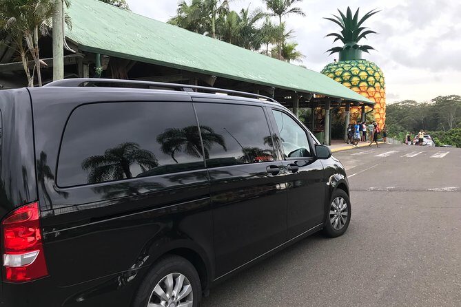 Private Transfer from Noosa to Sunshine Coast Airport up to 5 pax - The Sum Up